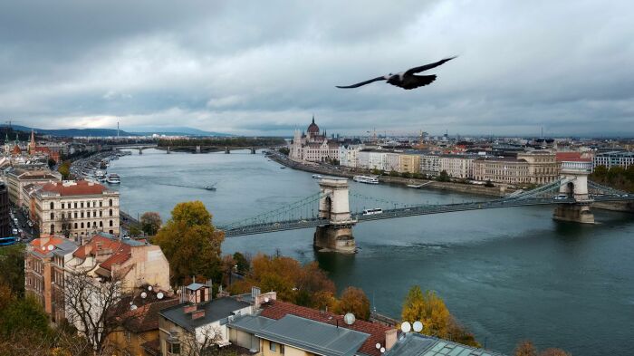Будапешт с высоты птичьего полета. /Фото: ria.ru