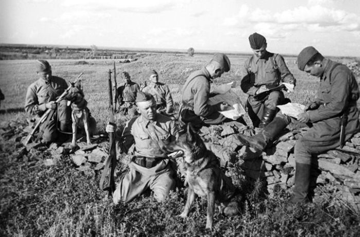 Кинологи с собаками, 1942 год./Фото: i1.wp.com