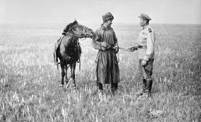 Выносливые монгольские лошади были важным подспорьем на фронте./Фото: cdn2.img.inosmi.ru