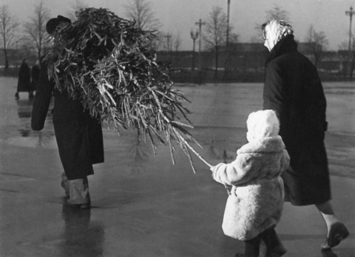 Cоветская семья купила елку./Фото: chert-poberi.ru 