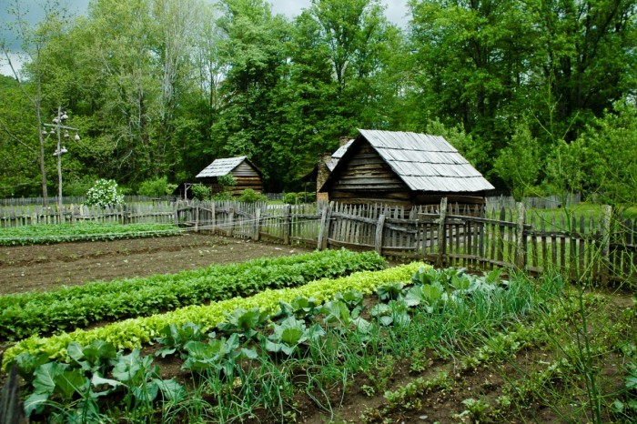 Для многих россиян огород на даче был способом прокормить семью./Фото: www.medved-centr.ru