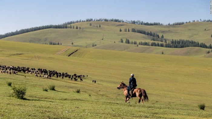 Монгольский пастух./Фото: fototelegraf.ru