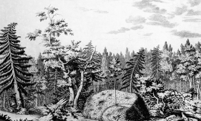 Гром-камень в лесу. Гравюра Якоба ван дер Шлея