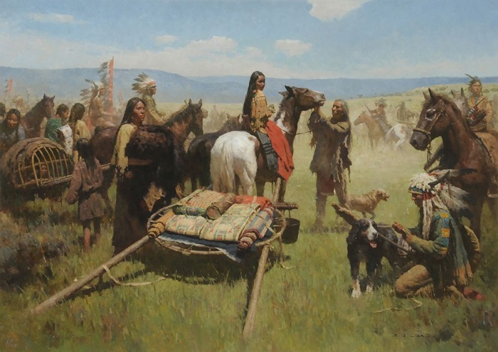 Чем болели и как лечились американские индейцы