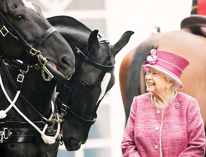 Английская королева замечательно разбирается в лошадях.