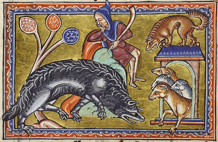 Волки были постоянной опасностью для средневековых крестьян и путников.