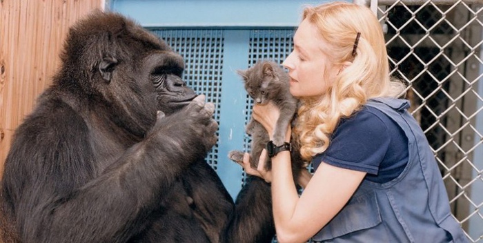 Коко всегда мечтала о детях и обожала котят.