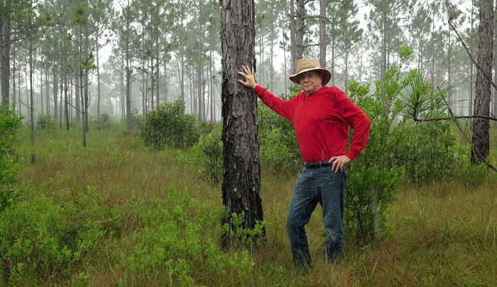 Мэрион создал свой частный заповедник, где восстановил леса.