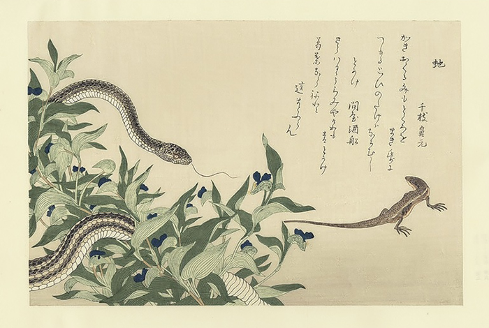 Утамаро был реалистом в изображении животного мира. 