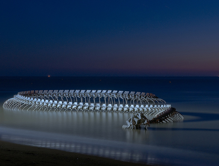 Скелет змея на берегу моря.