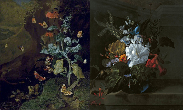 Рашель писала и необычные растения - например, кактусы (справа).