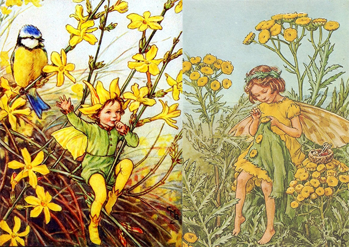 В рисунках Баркер - цветы родной страны.