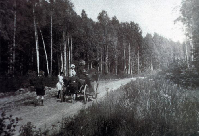 Даже не верится, что это дорога от метро Алтуфьево в сторону станции Лианозово. В 1914 году она выглядела именно так. /Фото: pastvu.com 
