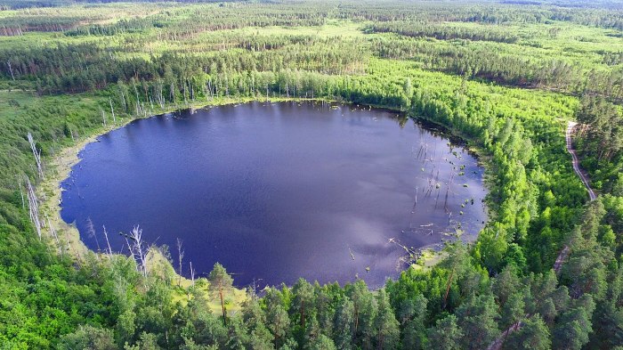 Смердячье озеро. Считается, что оно возникло в результате падения метеорита./Фото:wikipedia.org