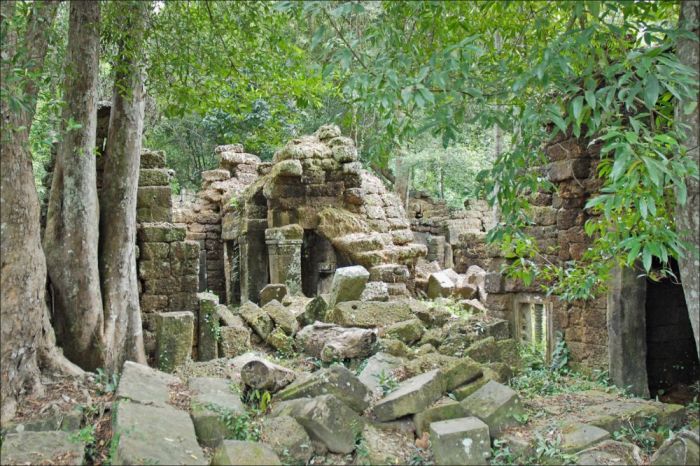 Джунгли Камбоджи скрывают много древних сюрпризов. /Фото:rtvi.com