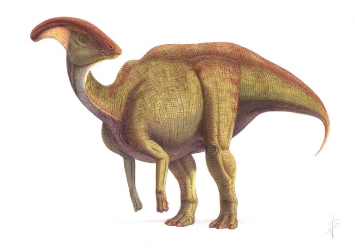 Примерно так выглядел гадрозавр. /Фото:dinohistory.ru