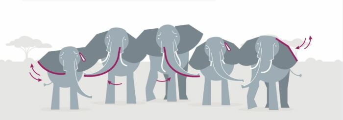 Схематичное изображение приветствия слонов. /Фото:nationalgeographic.com