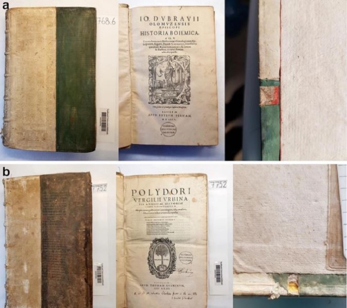 Две книги из датской библиотеки, в которых обнаружили мышьяк.