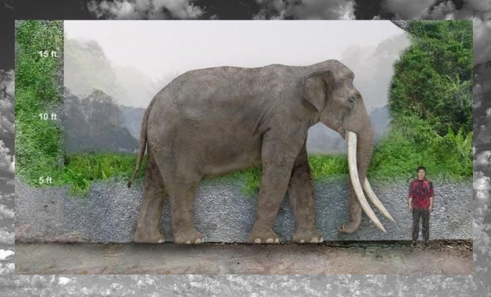 Так выглядел слон с прямыми бивнями, обитавший на территории современной Британии.
