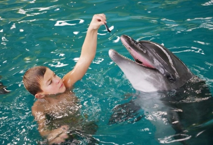 Дельфины отличные реабилитологи. /Фото:sevas.ru