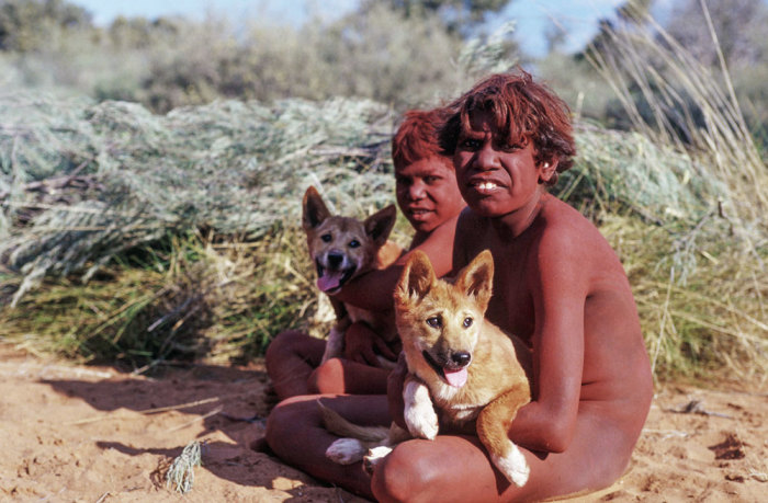 Австралийские аборигены с щенками динго. /Фото:vokrugsveta.ru