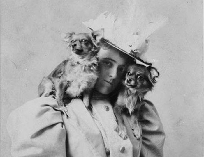 Эдит любила носить собак на плечах. /Фото:onedio.ru