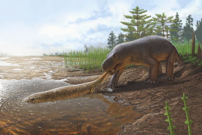 Горыныч (Gorynychus sundyrensis) поймал крупного двинозавра. /Иллюстрация А. Атучин