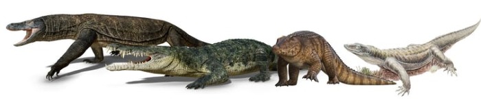 Не все животные тех времен вымерли. Некоторые виды сохранились до наших дней (например, красный крокодил)..