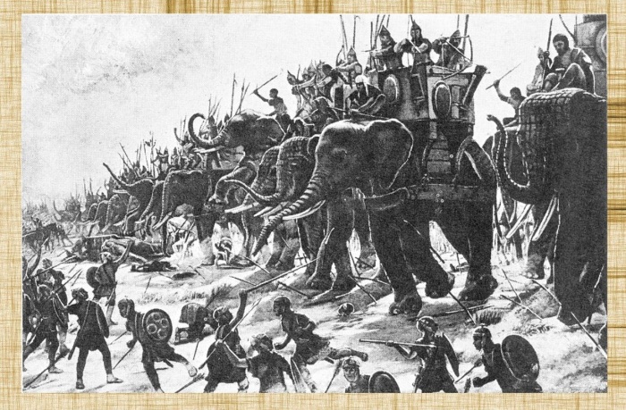 Этот вид слонов, столь популярный в Древнем Риме, тоже вымер.