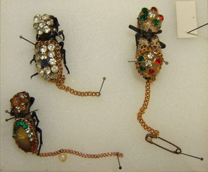 Примеры ювелирных изделий из насекомых, Коллекция Техасского университета
