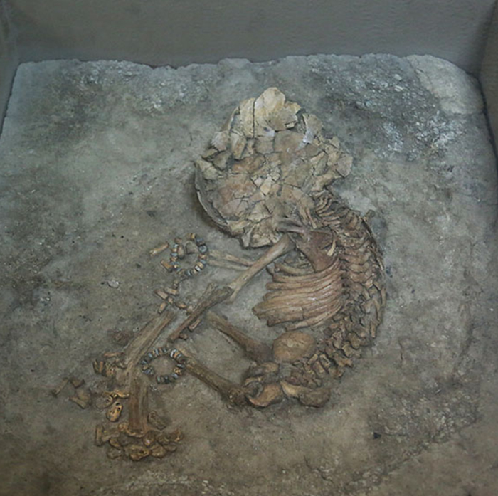Скелет младенца, обнаруженный при раскопках Чатал-Хююка. /Фото:marmara-calypso.livejournal.com