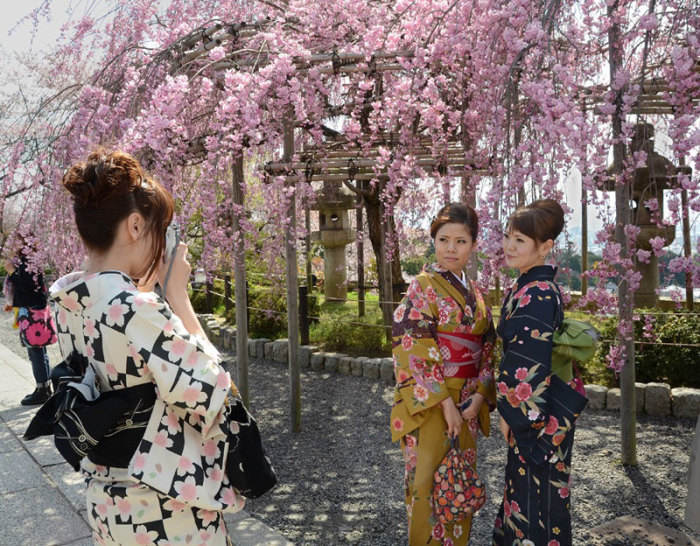 Цветение сакуры в Японии ассоциируется с женской красотой. В этот праздник мужчины чествуют своих дам. /Фото:artofcare.ru