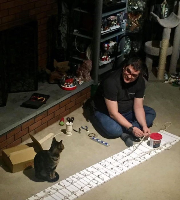 Роб вложил в свой проект тонны труда, а кошки ему помогали.