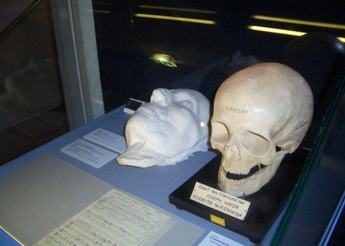 Посмертная маска и копия черепа Гайдна в венском музее. /Фото: muzcentrum.ru