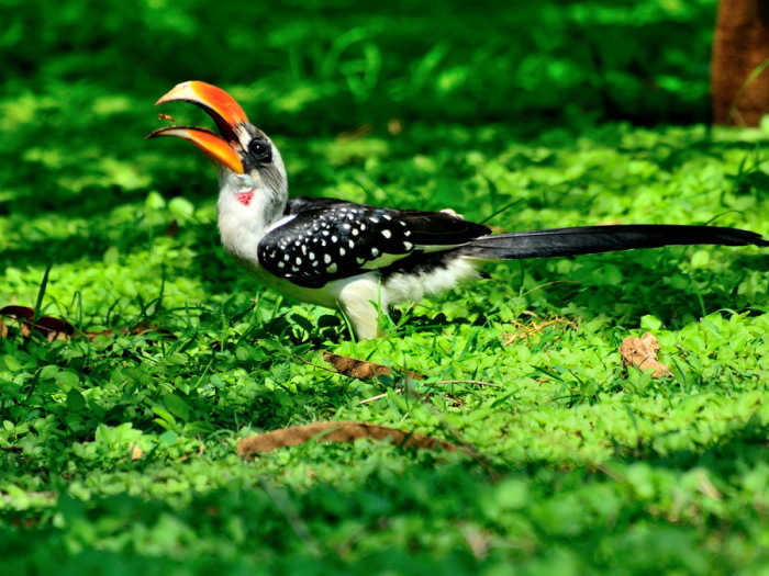 Здесь обитают десятки видов птиц. /Фото:travel-to-parks.ru