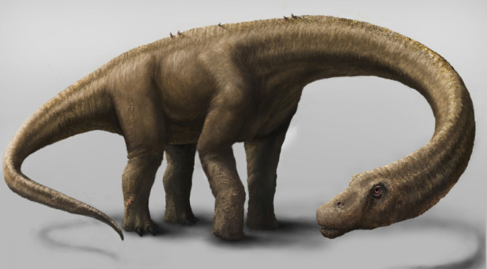 Примерно так выглядел динозавр-дредноут. /Фото:wildwildworld.net.ua