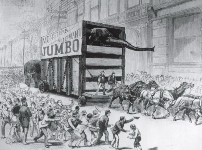 Парад-шествие в честь Джамбо на Бродвее. Иллюстрация в американском журнале.