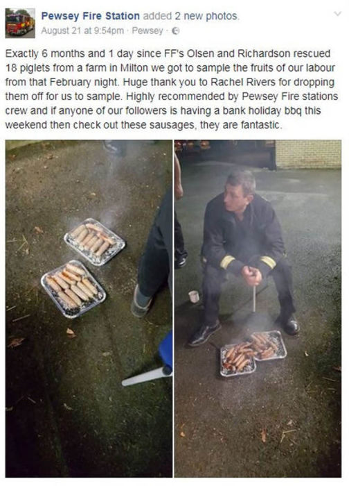 Пост пожарной части в Facebook кому-то показался циничным, другие же заметили, что есть свинину - это нормально.