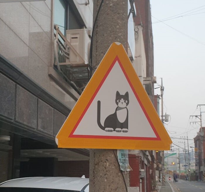 Знак предупреждает о возможном появлении кошки. /Фото:@constructional_HK, old.reddit.com