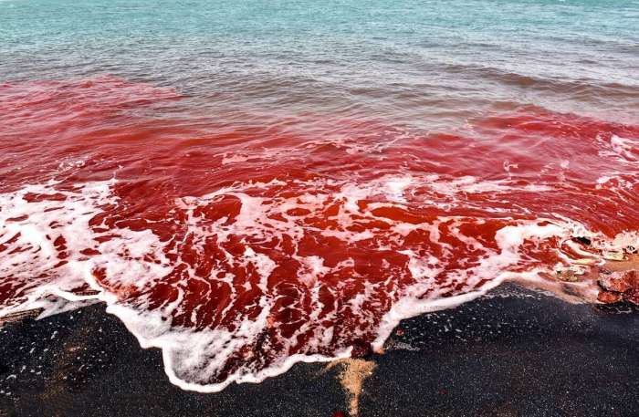 Красные волны словно кровоточат. /Фото:iranroute.com