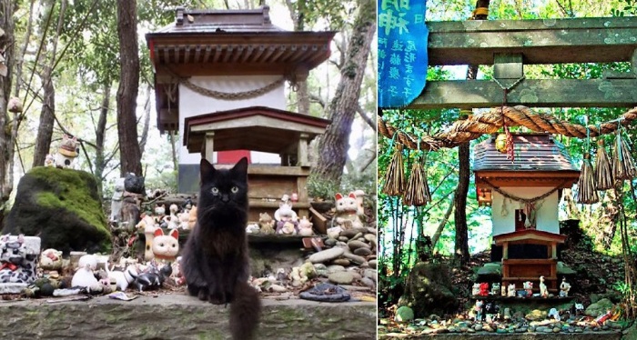 Храм кошек на Тасиро.
