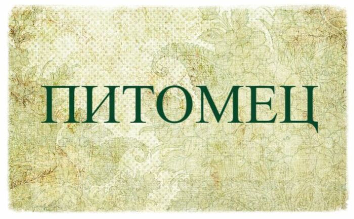 Как слова русского языка меняют свой смысл
