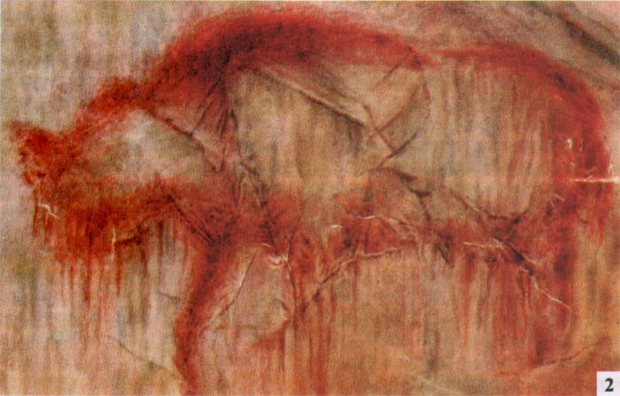Изображение древнего единорога, найденное в пещере Шульган-Таш (Каповой), 1965. /Фото:old.evolbiol.ru
