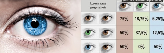 Изменение цвета глаз можно предсказать, но не на 100%.