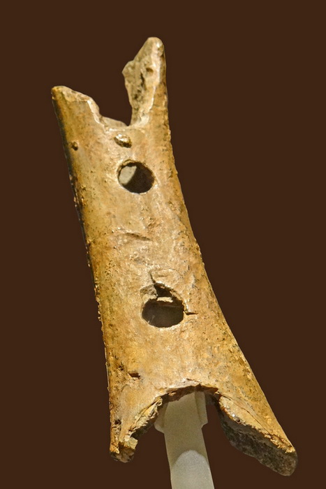 Самый старый в истории музыкальный инструмент - костяная флейта с отверстиями