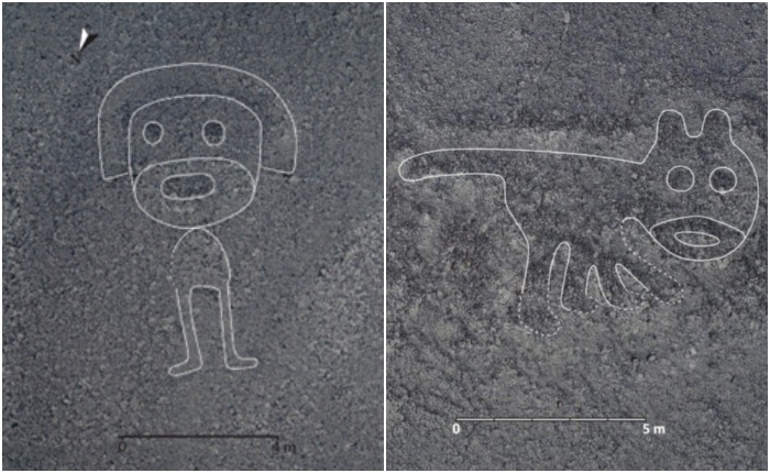 Группа из специалистов Перу и Японии обнаружила ранее не известные рисунки на плато Наска