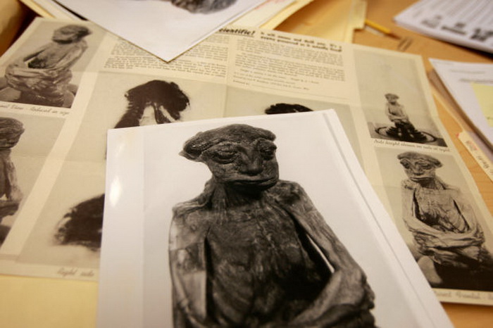 Ученые продолжают изучение мумии исходя из сохранившихся записей рентгенологического исследования