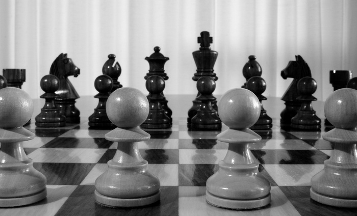 Вероятность того, что при правильном подходе к обучению ребенок станет гением  в выбранном для него деле, по Ласло Полгару, почти стопроцентная. Для сестер выбрали шахматы.