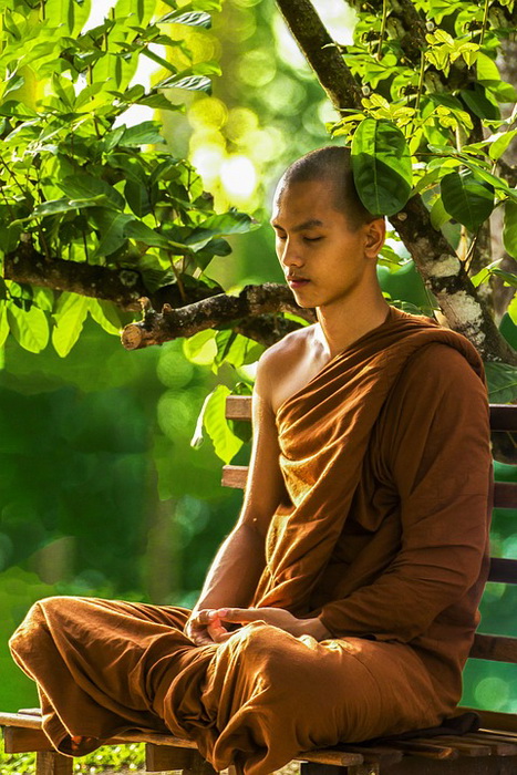 Монахи в буддизме обривают волосы в знак отказа от прошлой жизни