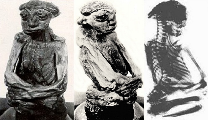 Исследования 1950 года установили, что мумия настоящая